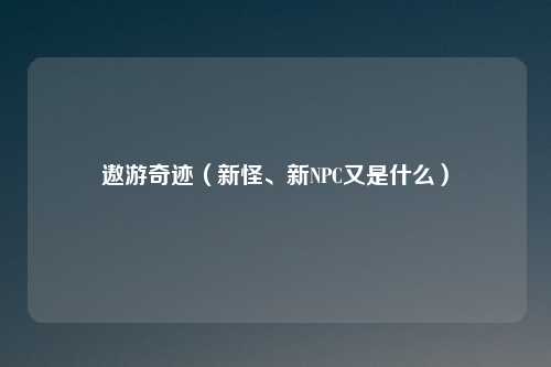 遨游奇迹（新怪、新NPC又是什么）