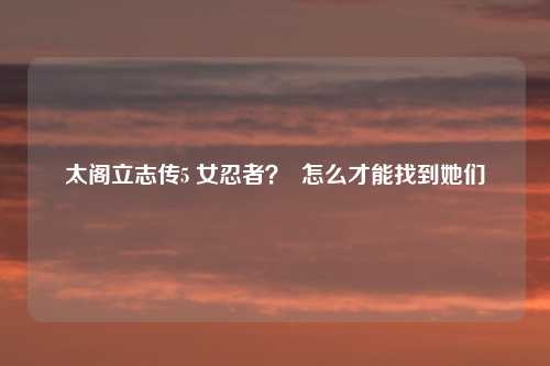 太阁立志传5 女忍者？  怎么才能找到她们
