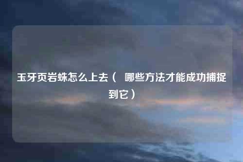 玉牙页岩蛛怎么上去（  哪些方法才能成功捕捉到它）