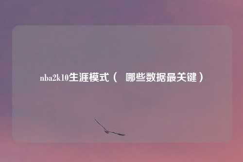 nba2k10生涯模式（  哪些数据最关键）