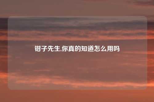 钳子先生,你真的知道怎么用吗