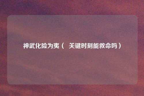 神武化险为夷（  关键时刻能救命吗）