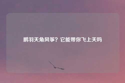 鹏羽天角风筝？它能带你飞上天吗