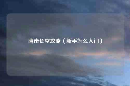 鹰击长空攻略（新手怎么入门）