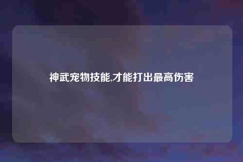 神武宠物技能,才能打出最高伤害