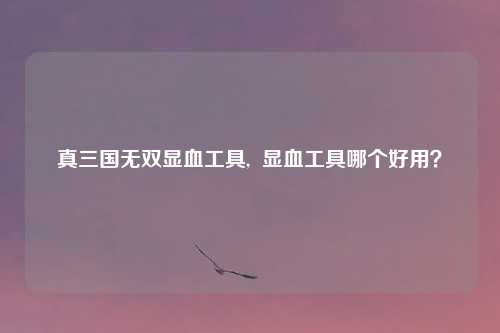 真三国无双显血工具,  显血工具哪个好用？