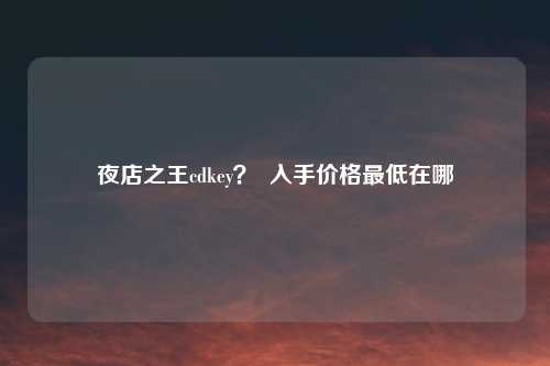 夜店之王cdkey？  入手价格最低在哪