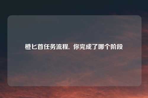 橙匕首任务流程,  你完成了哪个阶段