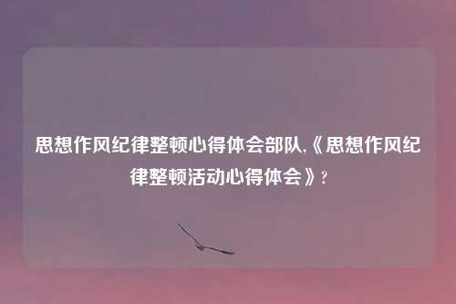 思想作风纪律整顿心得体会部队,《思想作风纪律整顿活动心得体会》?