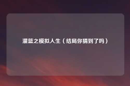 灌篮之模拟人生（结局你猜到了吗）