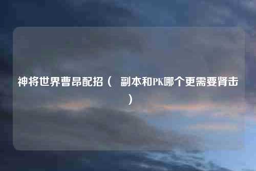 神将世界曹昂配招（  副本和PK哪个更需要肾击）