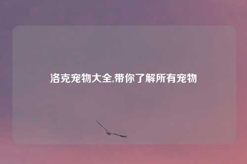 洛克宠物大全,带你了解所有宠物