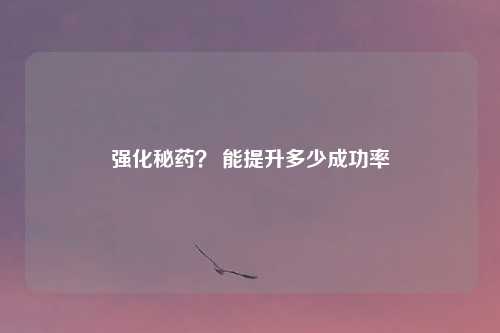 强化秘药？ 能提升多少成功率