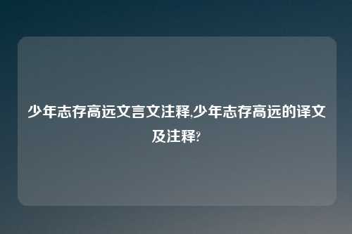 少年志存高远文言文注释,少年志存高远的译文及注释?