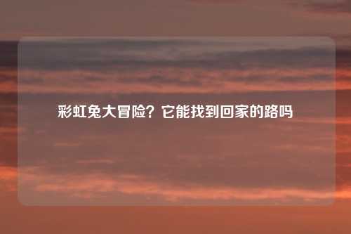 彩虹兔大冒险?它能找到回家的路吗