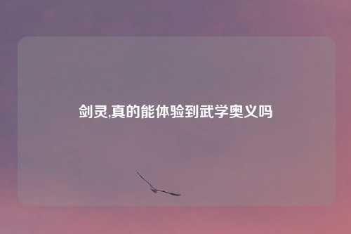 剑灵,真的能体验到武学奥义吗