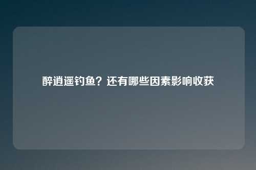 醉逍遥钓鱼？还有哪些因素影响收获