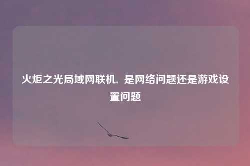 火炬之光局域网联机,  是网络问题还是游戏设置问题