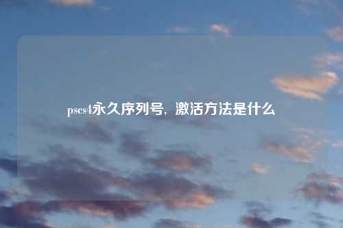pscs4永久序列号,  激活方法是什么