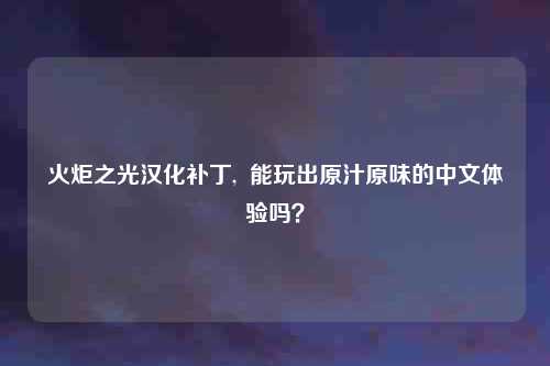 火炬之光汉化补丁,  能玩出原汁原味的中文体验吗？