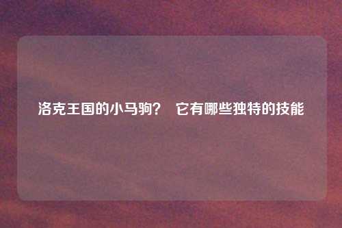 洛克王国的小马驹？  它有哪些独特的技能