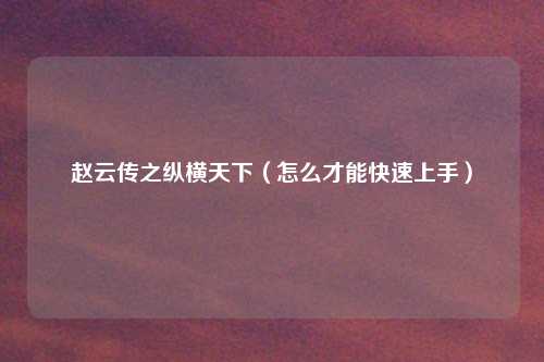 赵云传之纵横天下(怎么才能快速上手)