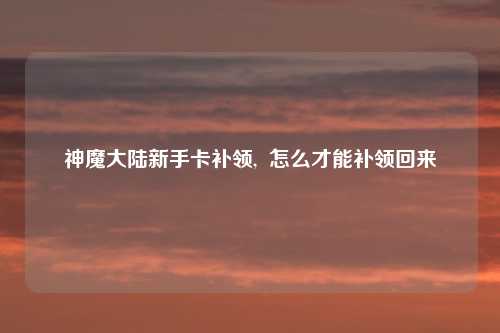 神魔大陆新手卡补领,  怎么才能补领回来