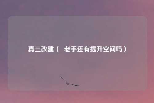 真三改建（  老手还有提升空间吗）
