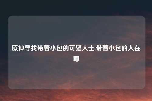 原神寻找带着小包的可疑人士,带着小包的人在哪
