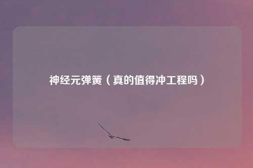 神经元弹簧(真的值得冲工程吗)