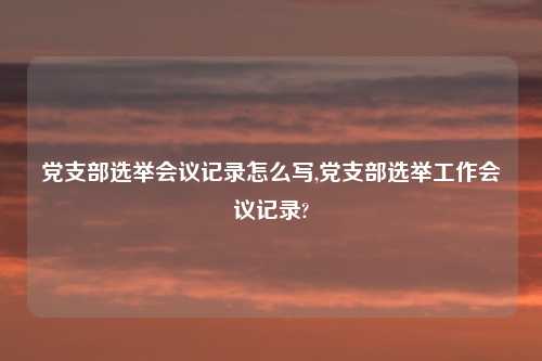 党支部选举会议记录怎么写,党支部选举工作会议记录?