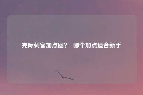 完际刺客加点图？  哪个加点适合新手