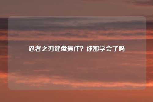 忍者之刃键盘操作？你都学会了吗