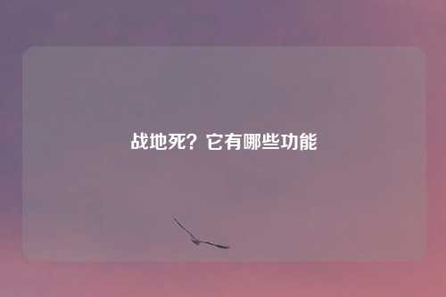 战地死？它有哪些功能