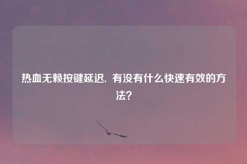 热血无赖按键延迟, 有没有什么快速有效的方法?