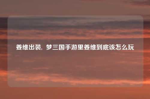 姜维出装,  梦三国手游里姜维到底该怎么玩