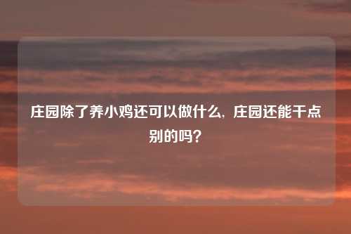 庄园除了养小鸡还可以做什么,  庄园还能干点别的吗？