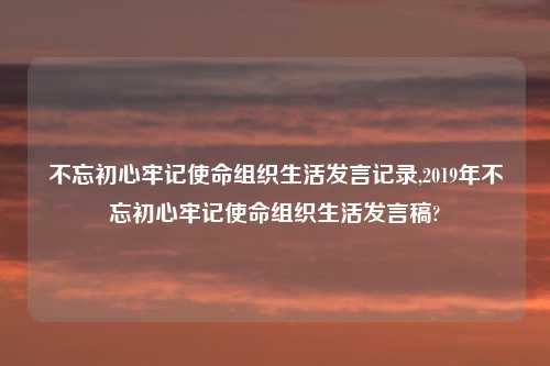不忘初心牢记使命组织生活发言记录,2019年不忘初心牢记使命组织生活发言稿?