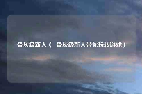 骨灰级新人（  骨灰级新人带你玩转游戏）