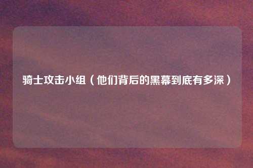 骑士攻击小组(他们背后的黑幕到底有多深)