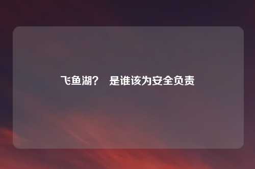 飞鱼湖? 是谁该为安全负责