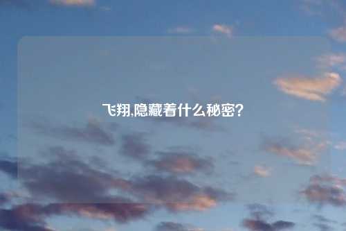 飞翔,隐藏着什么秘密？