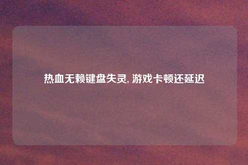 热血无赖键盘失灵, 游戏卡顿还延迟