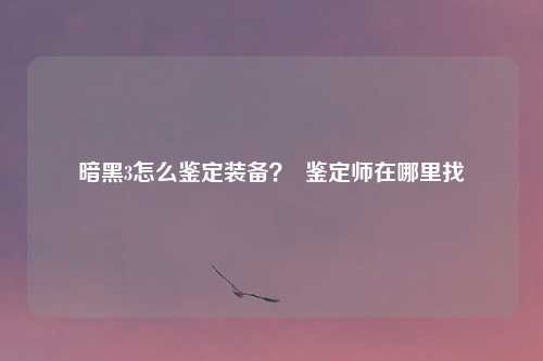 暗黑3怎么鉴定装备？  鉴定师在哪里找