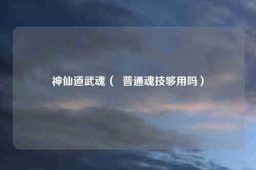神仙道武魂( 普通魂技够用吗)