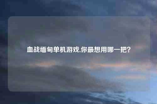 血战缅甸单机游戏,你最想用哪一把？