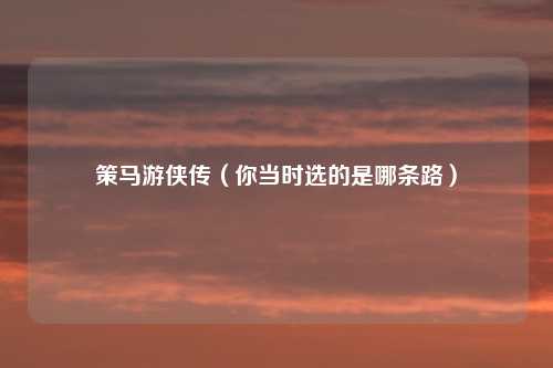 策马游侠传（你当时选的是哪条路）