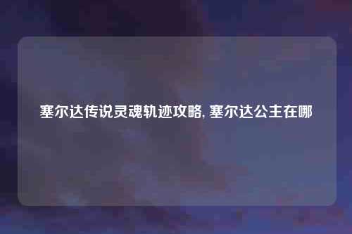 塞尔达传说灵魂轨迹攻略, 塞尔达公主在哪