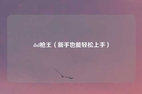 dnf枪王（新手也能轻松上手）