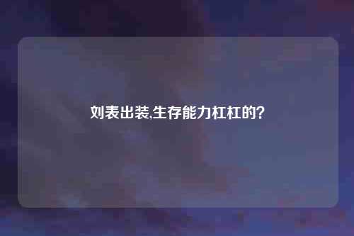 刘表出装,生存能力杠杠的？